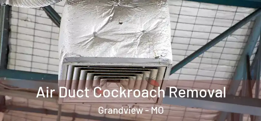  Air Duct Cockroach Removal Grandview - MO