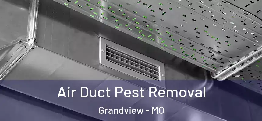 Air Duct Pest Removal Grandview - MO