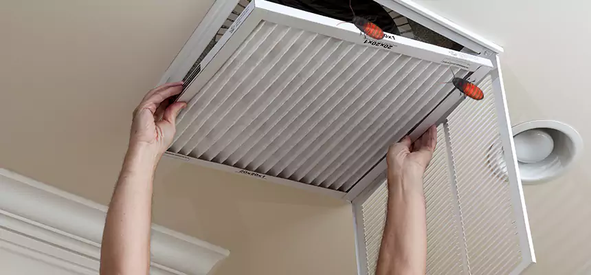 Preventive Cockroach-Proofing for Ducts in Grandview