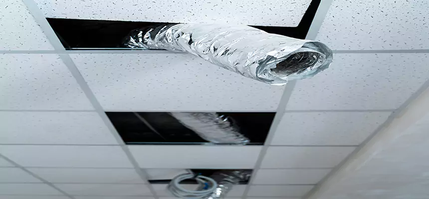 Affordable HVAC Sanitizing After Pest Removal in Grandview