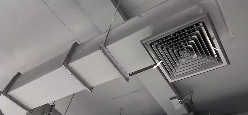 Our Pest Removal From Ducts Services in Grandview, MO