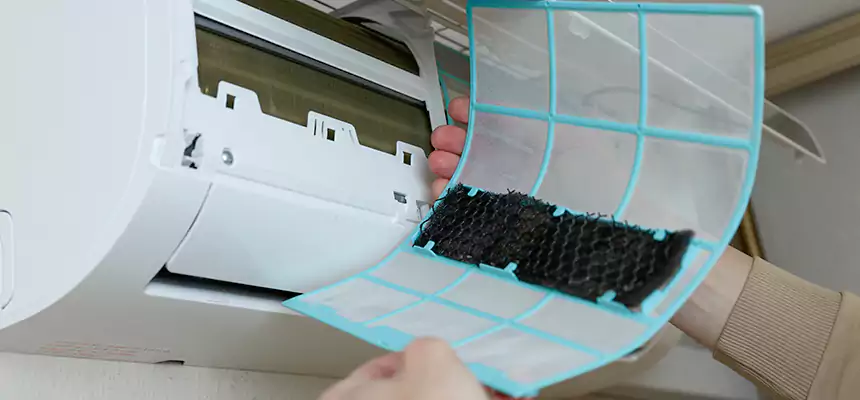 Gentle Ductwork Odor-Control Pet Dander Duct Cleaning in Grandview, MO