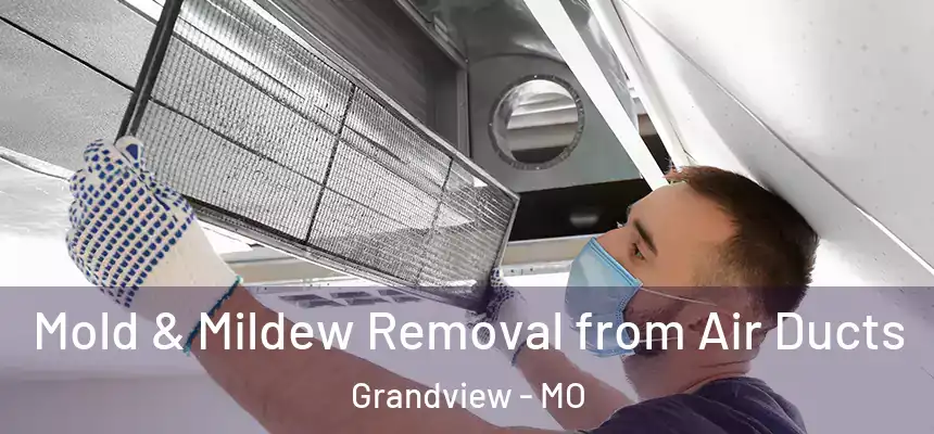  Mold & Mildew Removal from Air Ducts Grandview - MO