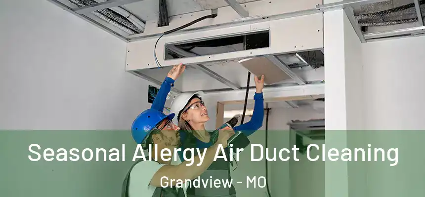 Seasonal Allergy Air Duct Cleaning Grandview - MO