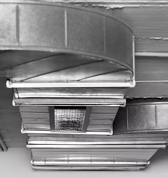 Professional Air Duct Pet Hair Removal in Grandview, MO