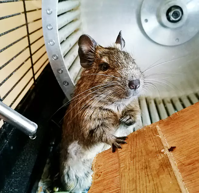 Why Homeowners & Businesses Trust Us Grandview, MO?